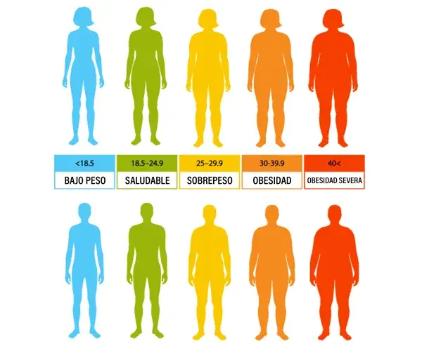 Masa muscular ideal en kg: ¿Estás por debajo de lo saludable?