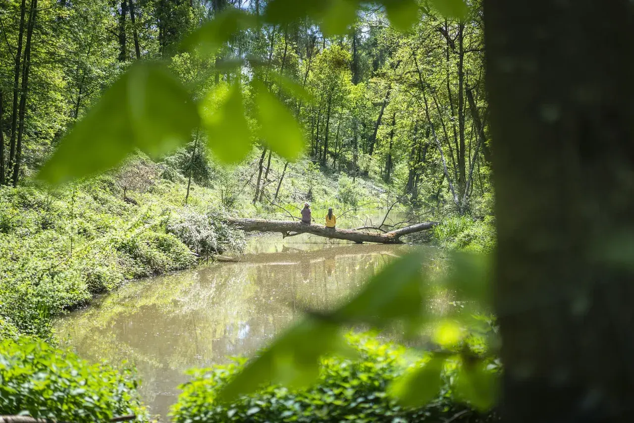 Zwei Personen sitzen auf einem Baumstamm über einem Teich im Wald. Die Fossa Carolina ist ein Ort der Ruhe.