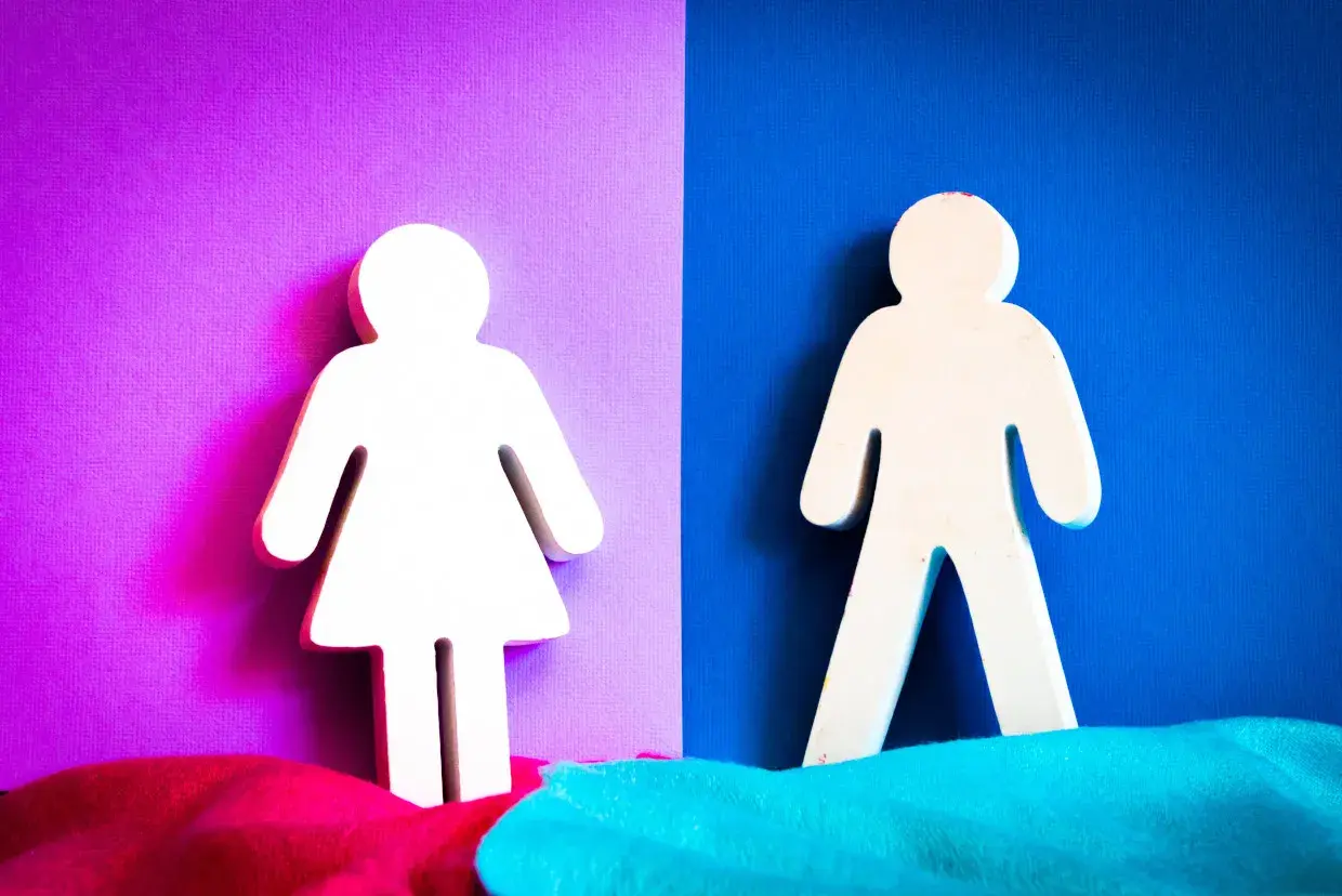 Two figures, one representing women, stand on a purple background, symbolizing the progress of federally employed women.