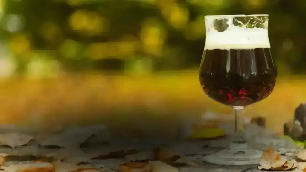 Un bicchiere di birra porter scura con schiuma cremosa, su un tavolo autunnale con foglie cadute.