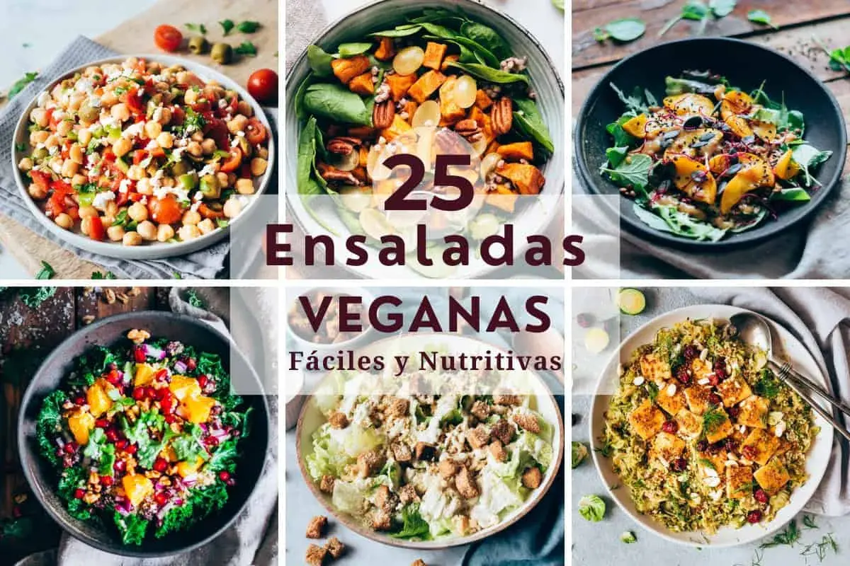 Collage de seis ensaladas veganas, con garbanzos, boniato, aguacate y más. ¡25 ensaladas veganas fáciles y nutritivas!