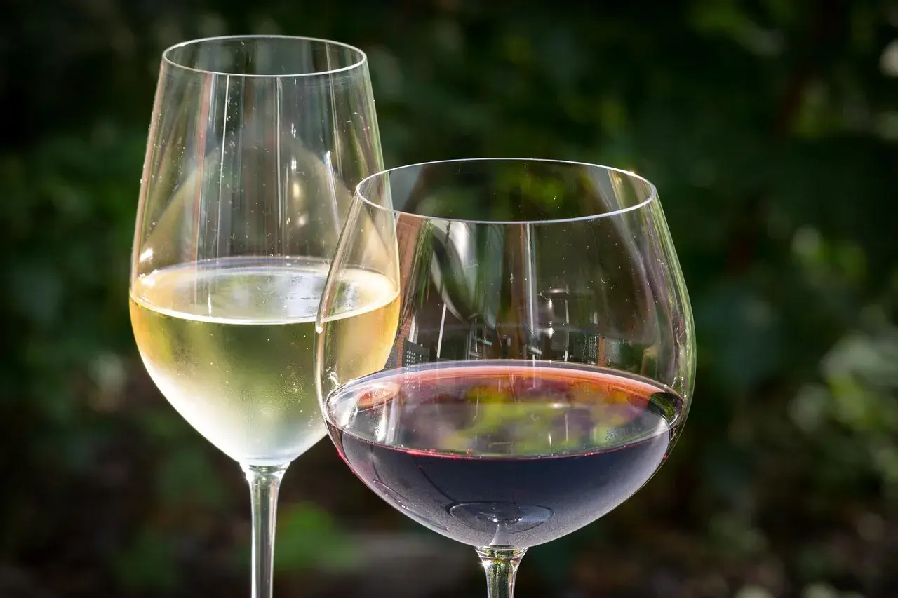 Dwa kieliszki wina: białe i czerwone. Idealne pytanie: jakie wino do steka?