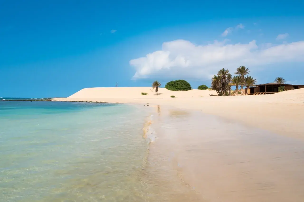 Traumhafter Strand mit Palmen und Dünen. Perfekt für die beste Reisezeit Kapverden, mit klarem Wasser und Sonnenschein.