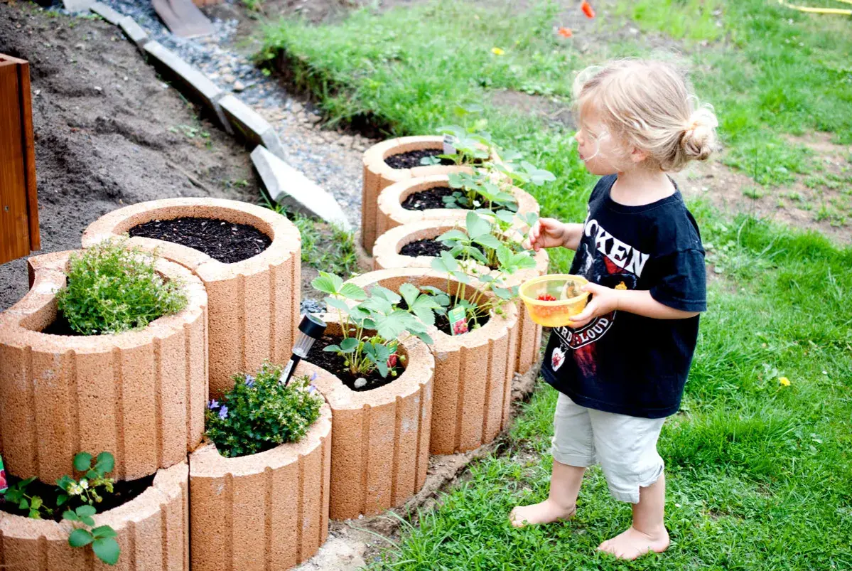 Kleine Gärtnerin erntet Erdbeeren aus einem Hochbeet aus Pflanzsteinen. Tolle Pflanzsteine setzen Ideen für den Garten.