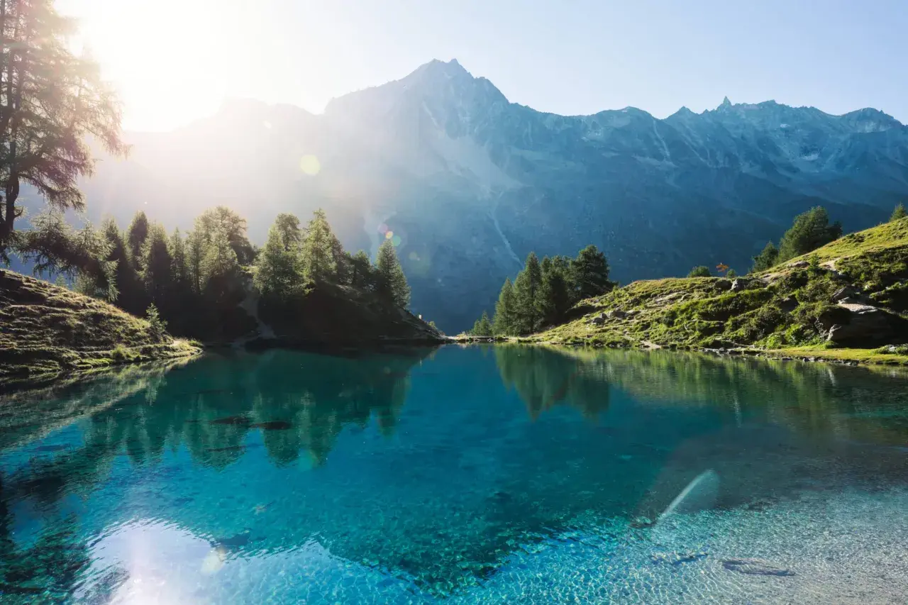 Un lac suisse aux eaux cristallines reflète les montagnes majestueuses et les pins verts sous un soleil radieux.