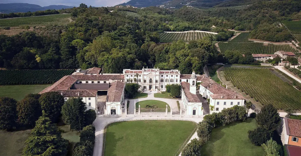 Tenuta Santa Maria: maestosa villa circondata da vigneti e alberi, con un ampio prato antistante.