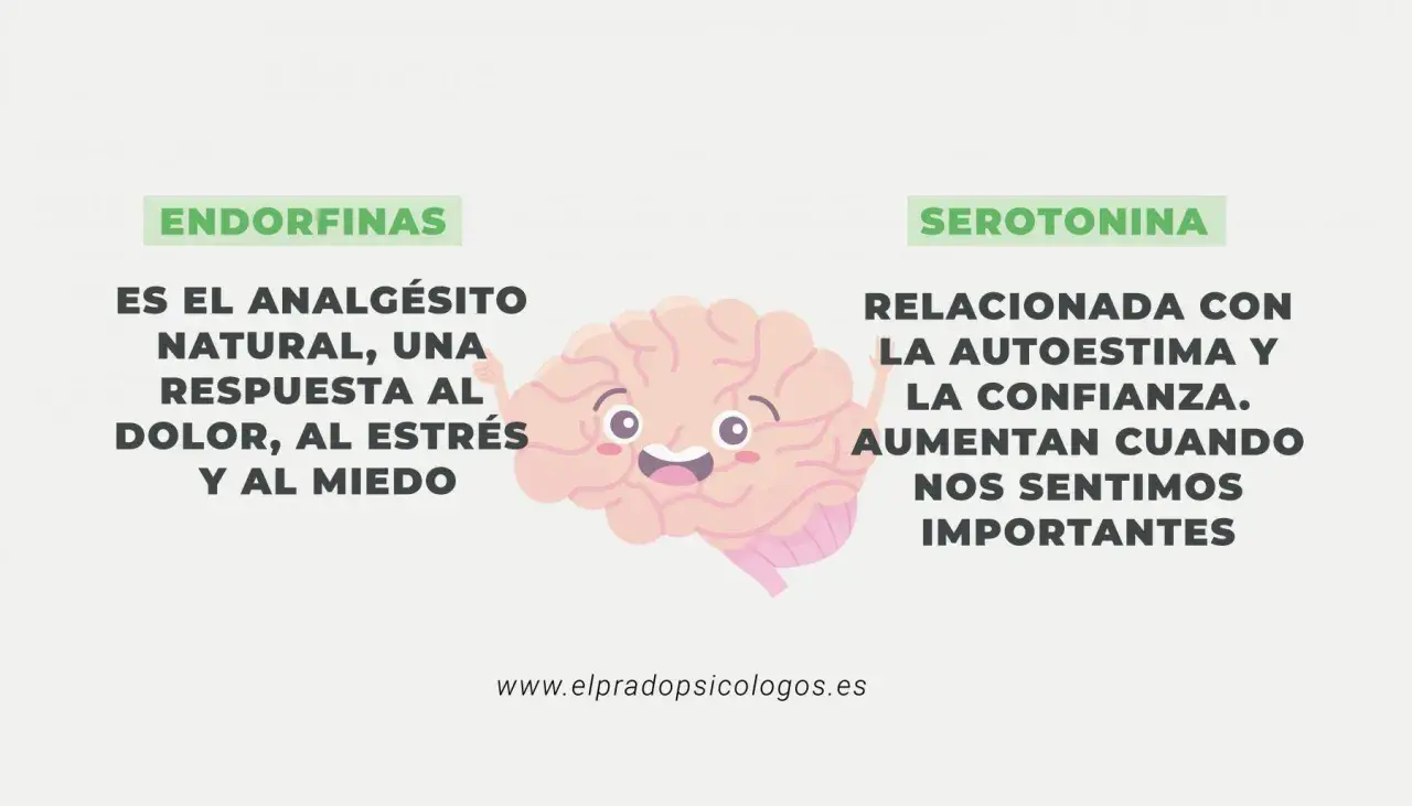 Endorfinas: el analgésico natural, respuesta al dolor, estrés y miedo. Serotonina: ligada a la autoestima y confianza.