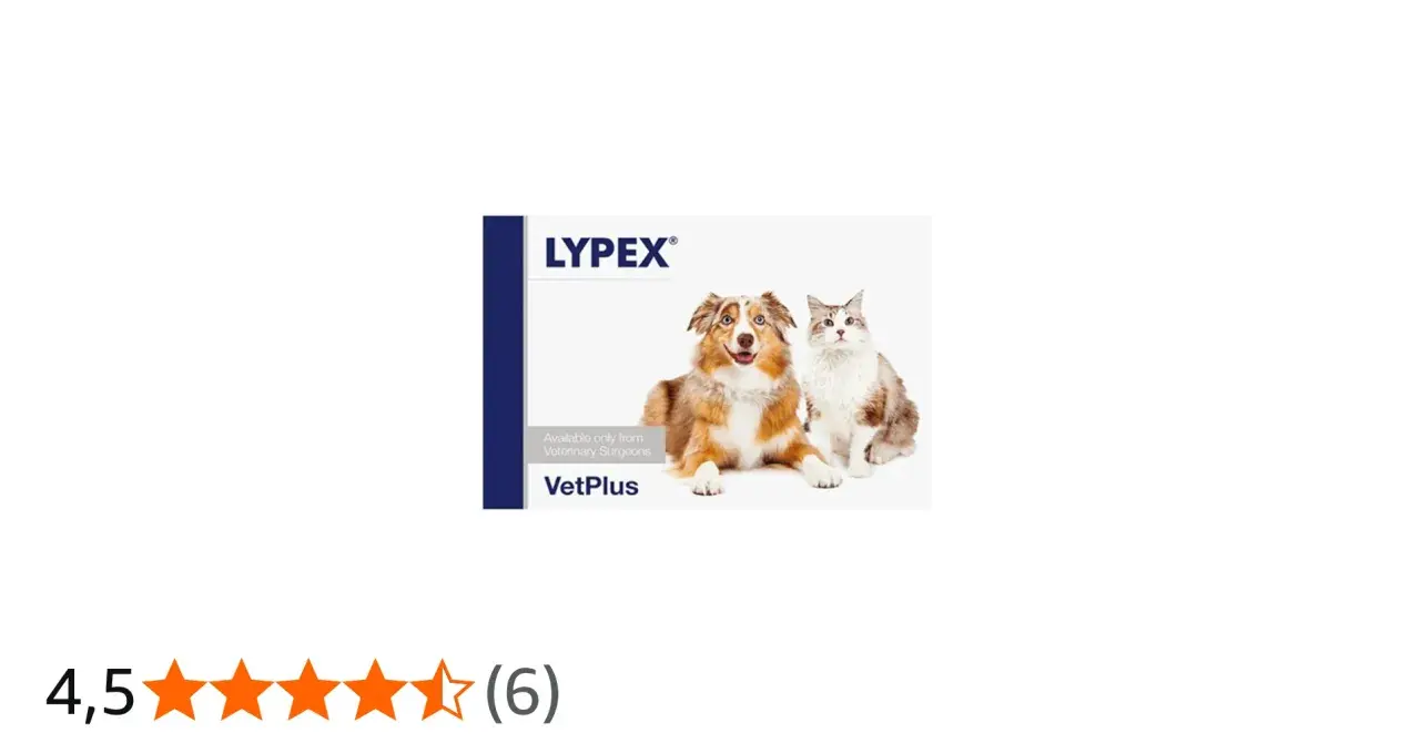 Lypex dla psa i kota, produkt VetPlus. Uroczy piesek i kotek na opakowaniu.