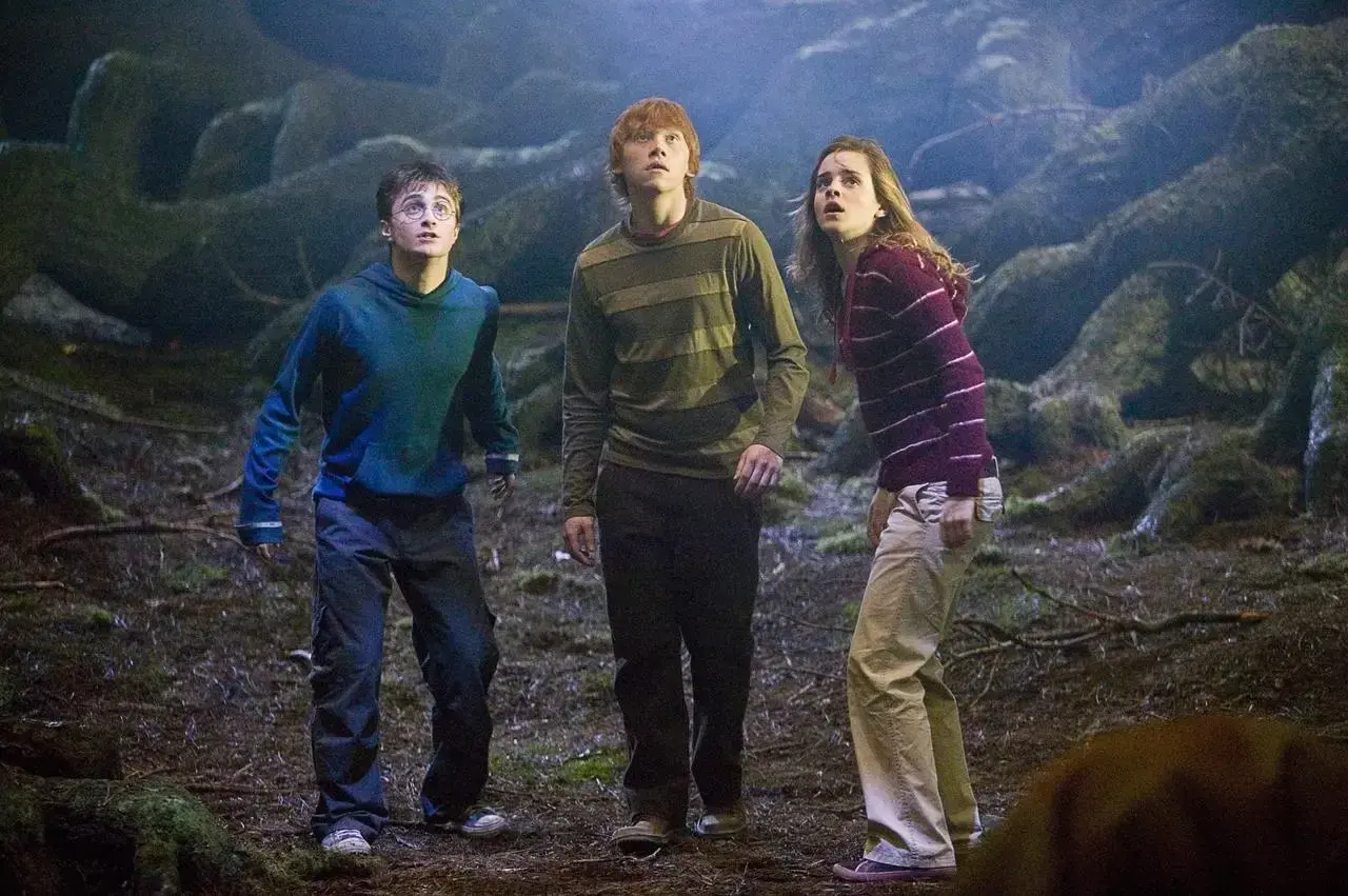 Harry, Ron i Hermiona w mrocznym lesie, szukając czegoś w Harry Potter 5.