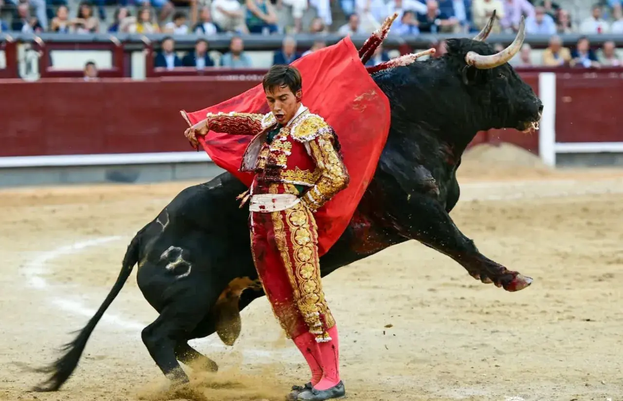 José Garrido, con su traje de luces, se enfrenta a un toro bravo en la arena.