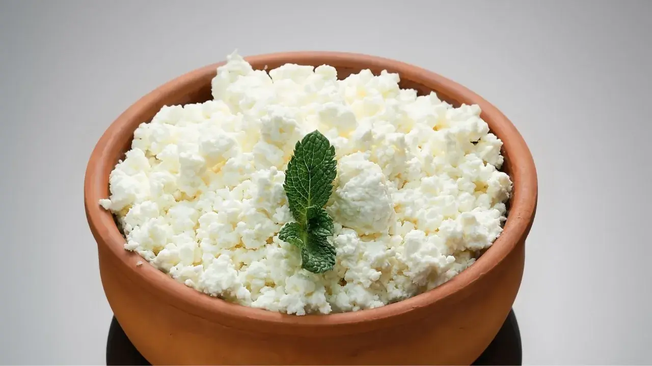 Ricotta fresca in ciotola di terracotta, guarnita con menta. Ideale per la ricotta in gravidanza, un alimento nutriente e leggero.