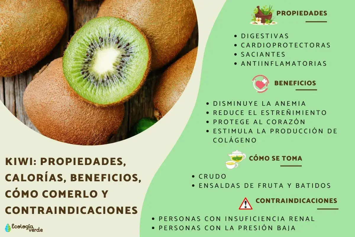 Kiwi: propiedades digestivas, cardioprotectoras y antiinflamatorias. Beneficios para la anemia y el corazón.