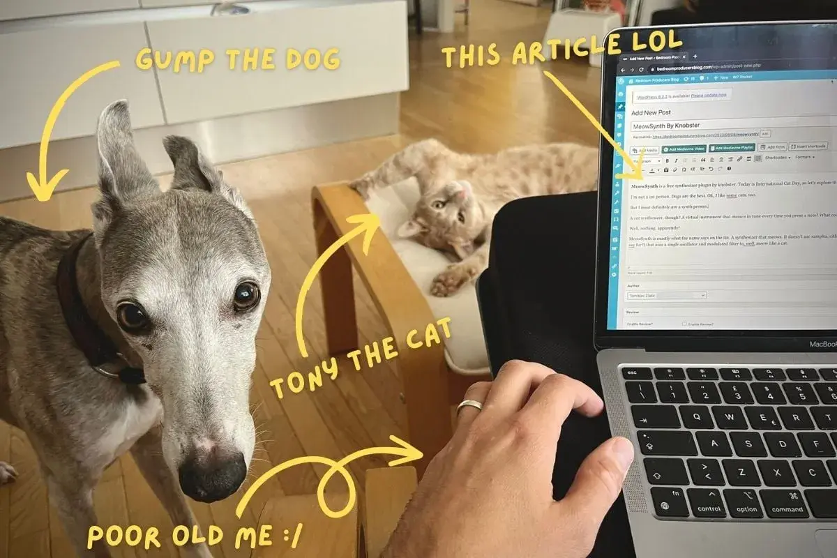 Gump the dog and Tony the cat watch as an article about the "meow synth" is written.