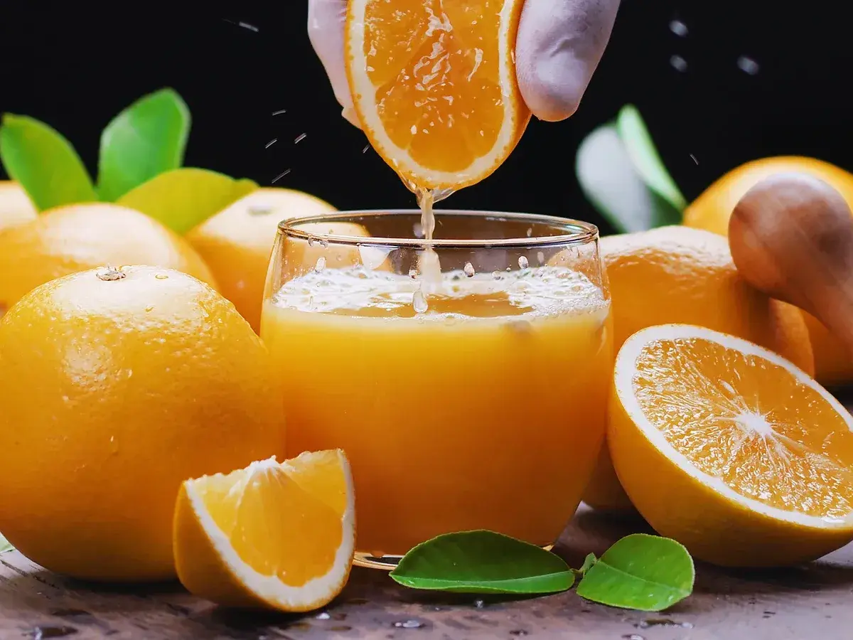 Un vaso de zumo de naranja recién exprimido, rodeado de naranjas frescas. ¡Cuidado! el zumo de naranja engorda si se abusa de él.