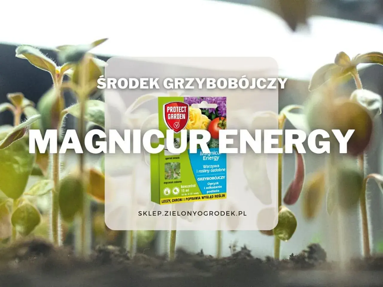 Środek grzybobójczy Magnicur Energy chroni młode rośliny przed chorobami. Zapewnia im energię do zdrowego wzrostu.