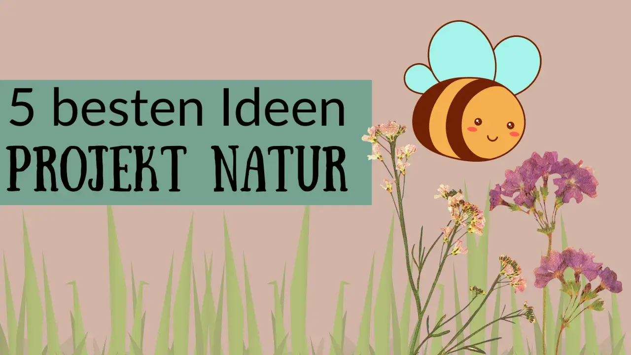 5 besten Ideen für Projektwoche Kindergarten Themen: Natur, Biene und Blumen.
