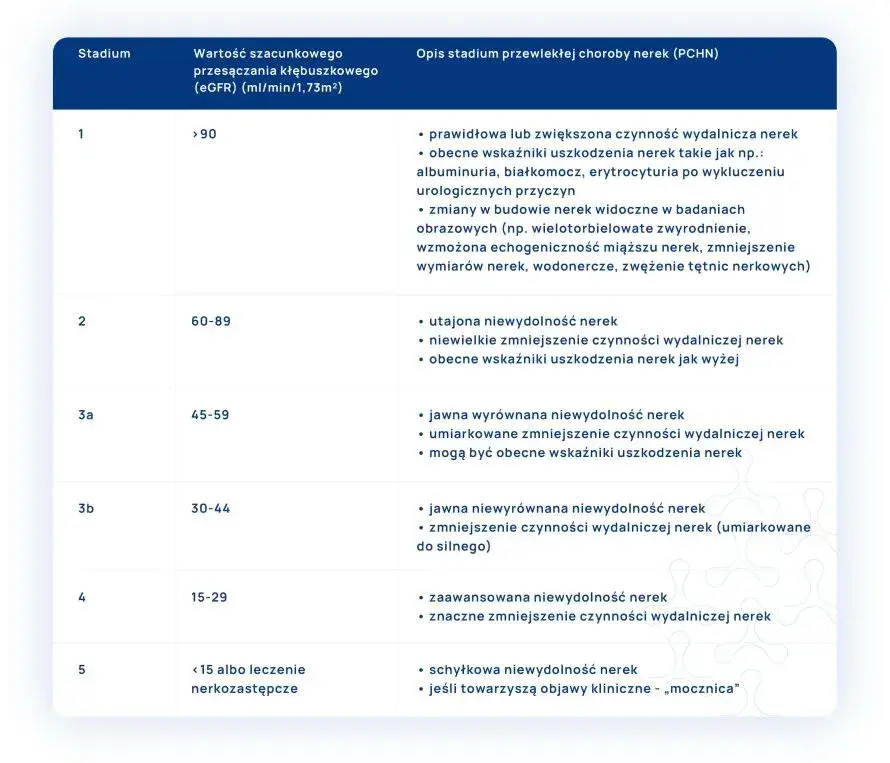 Badanie eGFR – co to jest i dlaczego jest kluczowe dla zdrowia nerek?