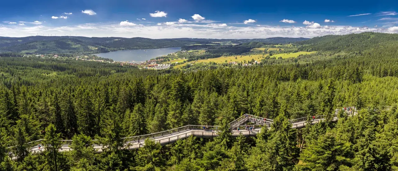Der Baumwipfelpfad Lipno schlängelt sich durch einen dichten Nadelwald. Im Hintergrund liegt ein See mit einer kleinen Stadt.