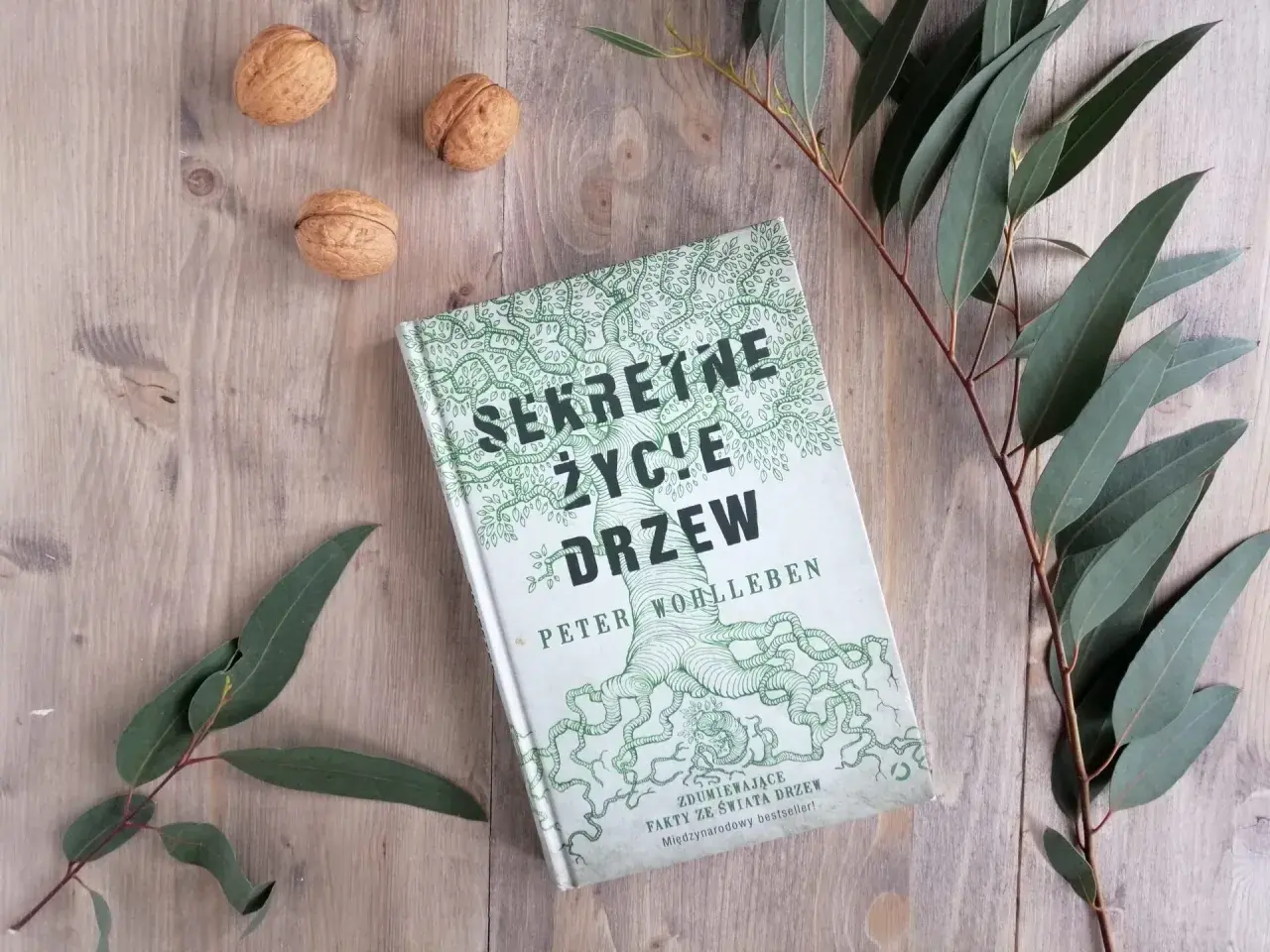 Książka "Sekretne życie drzew" na drewnianym tle, otoczona orzechami i gałązkami eukaliptusa.