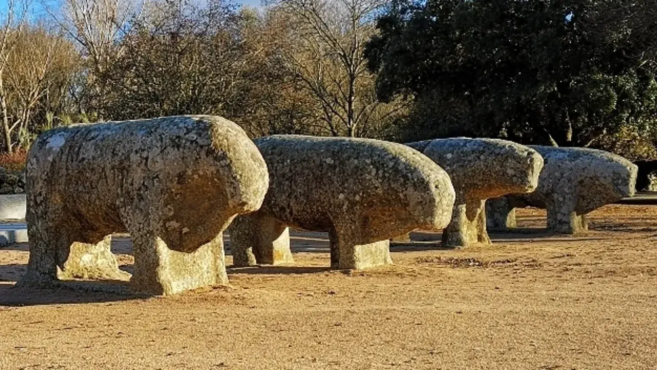 Cuatro verracos de piedra, como los de la ganadería La Guadamilla, posan en un campo soleado, evocando la historia.