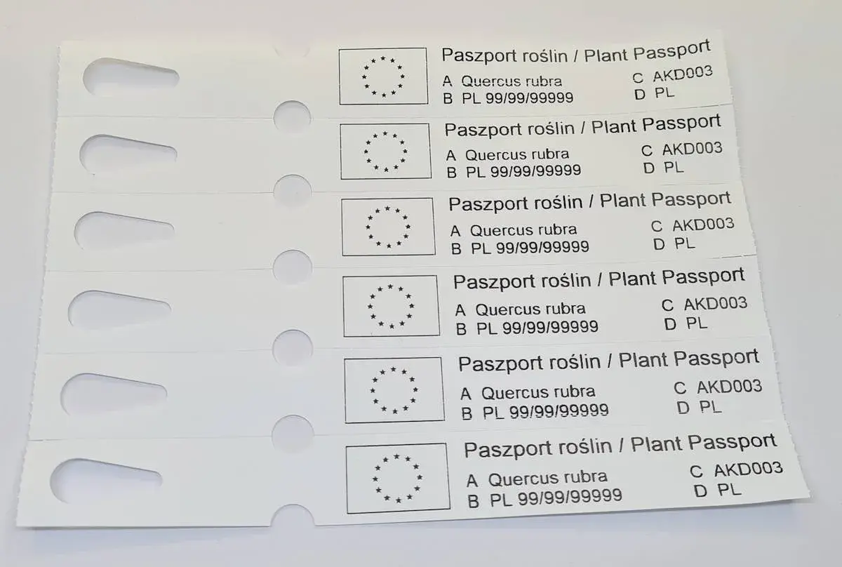 Paszport roślin / Plant Passport dla Quercus rubra. Informacje o tym, jak podlewać roślinę, są kluczowe dla jej zdrowia.