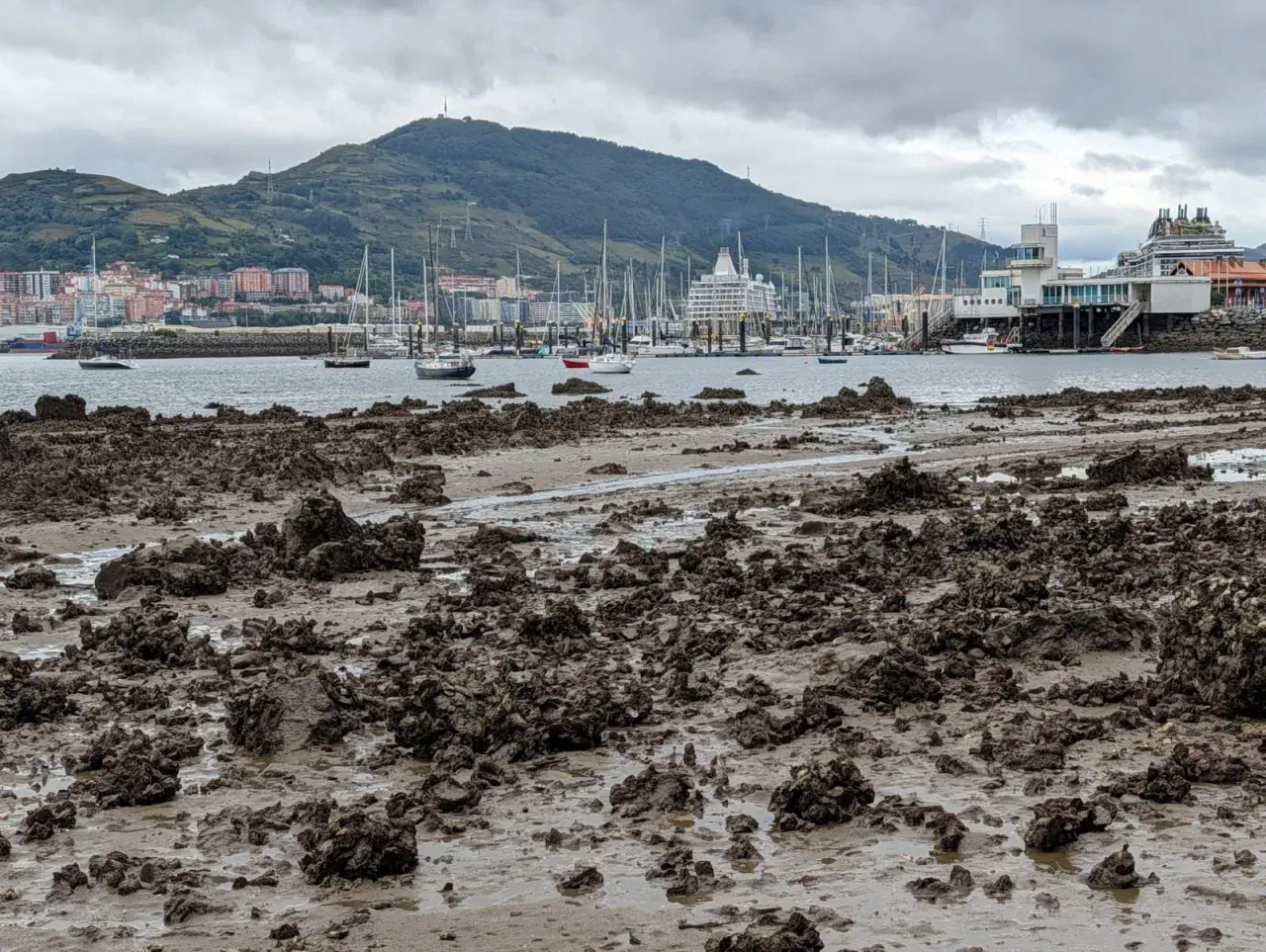 Barro y rocas expuestas en la costa, con barcos y un crucero en el mar, bajo un cielo nublado. Las mareas vivas revelan el lecho marino.