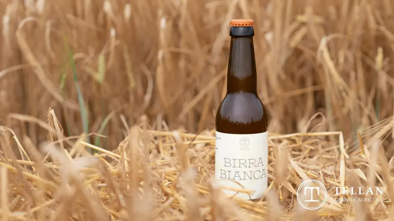Una bottiglia di birra bianca Tellan, tra spighe dorate, simbolo di birre di qualità.