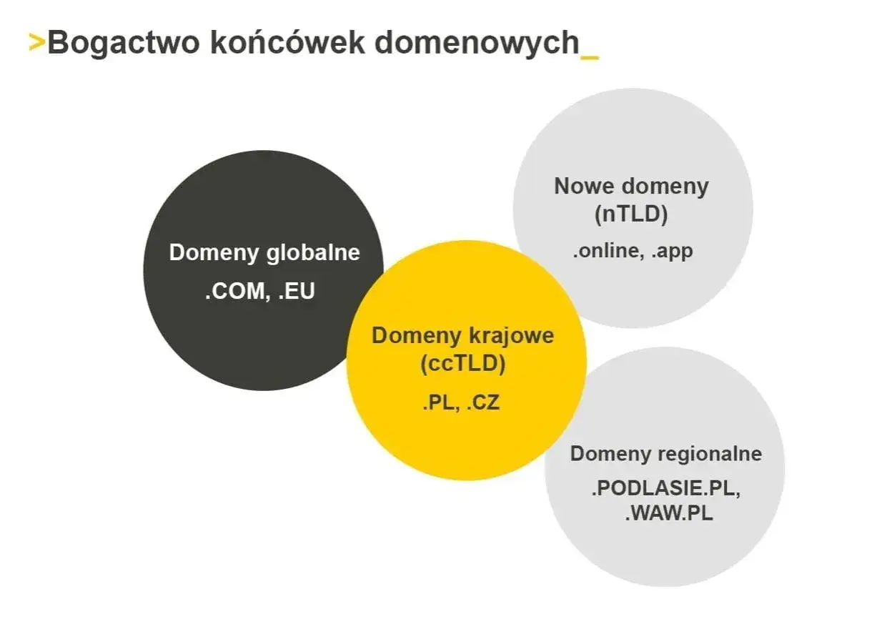Diagram przedstawia rodzaje domen: globalne (.com, .eu), krajowe (.pl, .cz), nowe (.online, .app) i regionalne (.podlasie.pl, .waw.pl). Gdzie najlepiej rejestracja domen?