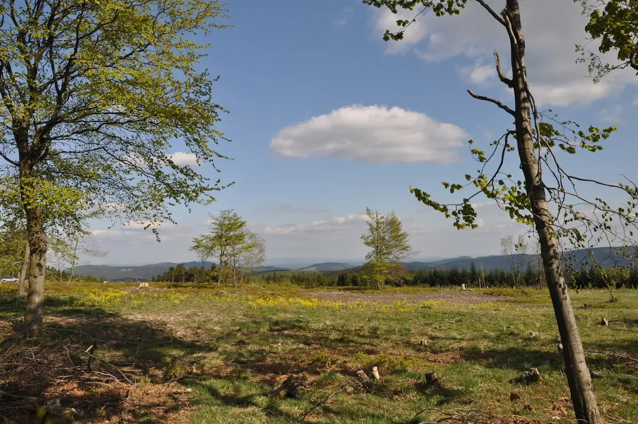 Grüne Wiesen und Bäume auf dem Kahler Asten laden zum Wandern ein. Ein sonniger Tag mit Wolken.