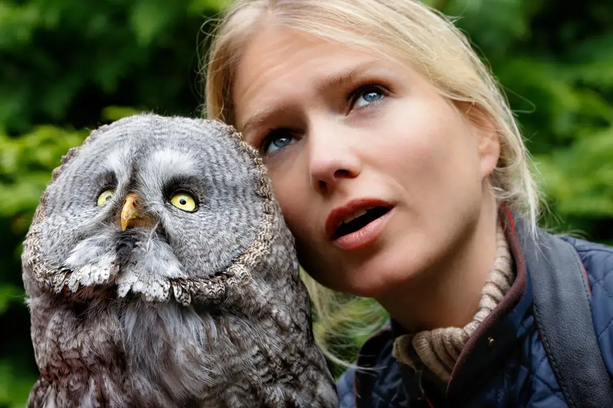 Ein junger Bussard mit gelben Augen blickt neugierig, während eine Frau mit offenem Mund daneben steht.