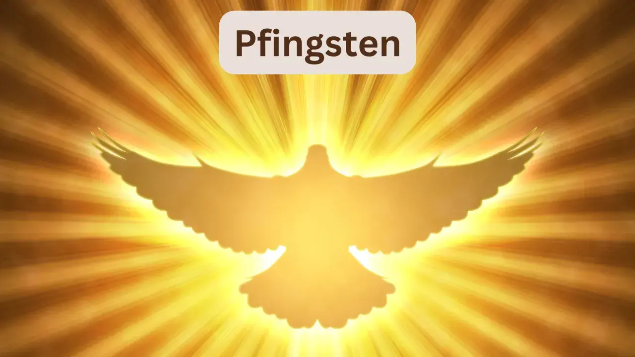 Ein leuchtender Taubensilhouette vor strahlendem Licht. Der Text "Pfingsten" darüber erinnert an den Feiertag.