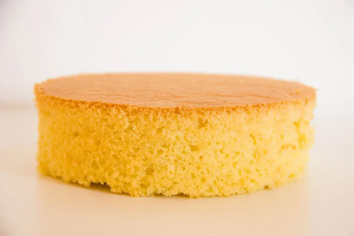 Un soffice pan di spagna, base perfetta per ogni creazione di pasticceria professionale.