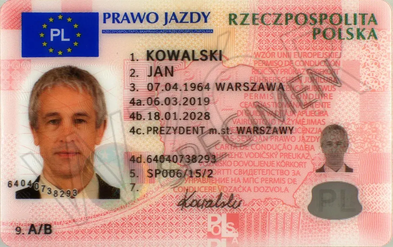 Numer druku prawa jazdy: Gdzie go szukać? Sprawdź status!