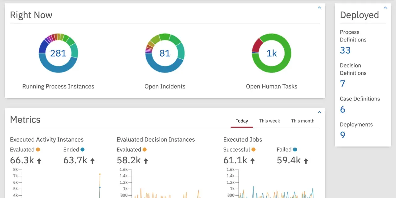 Dashboard per l'esempio di monitoraggio di un progetto: istanze di processo attive, incidenti aperti, task umani, metriche e distribuzioni.
