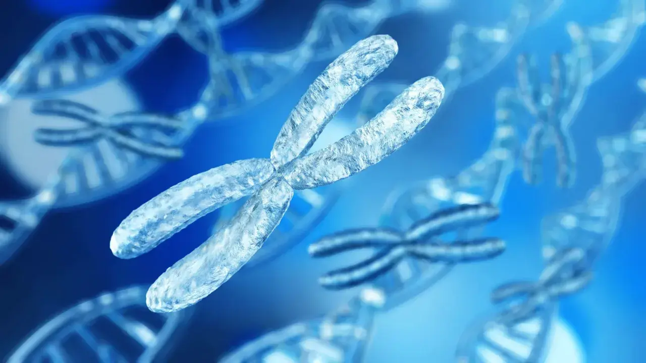 Chromosomy, w tym X, w tle z podwójną helisą DNA. Wizualizacja przedstawia zespół Klinefeltera wygląd.