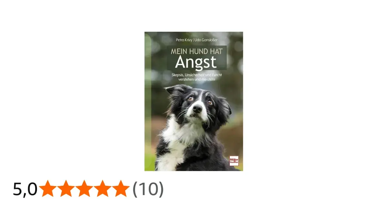 Ein Border Collie mit ängstlichem Blick schaut nach oben. Das Buchcover "Mein Hund hat Angst" zeigt, wie man die Furcht des Hundes versteht.