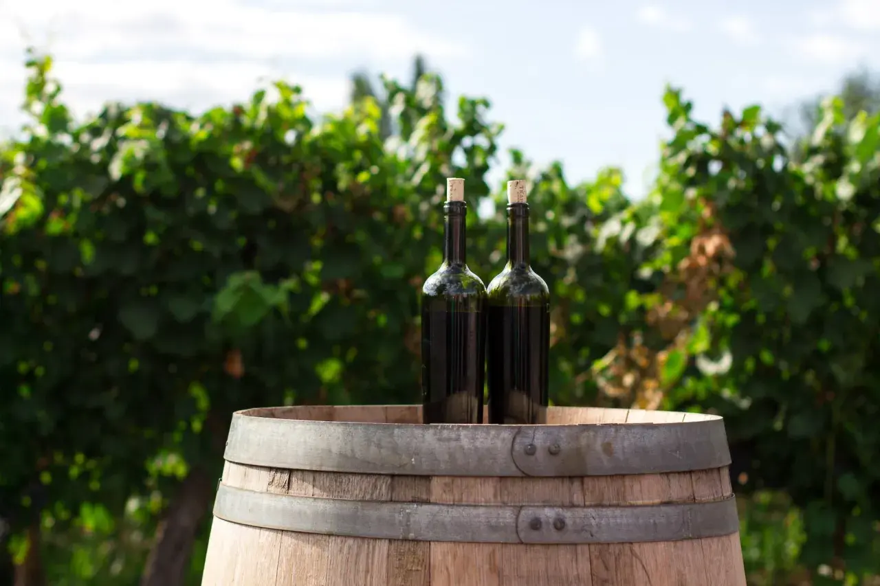 Wino wegańskie - co to znaczy i jak różni się od tradycyjnego?