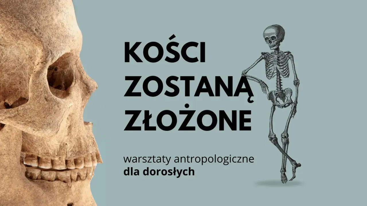 Czaszka i szkielet na tle napisu "Kości zostaną złożone". Warsztaty antropologiczne dla dorosłych.