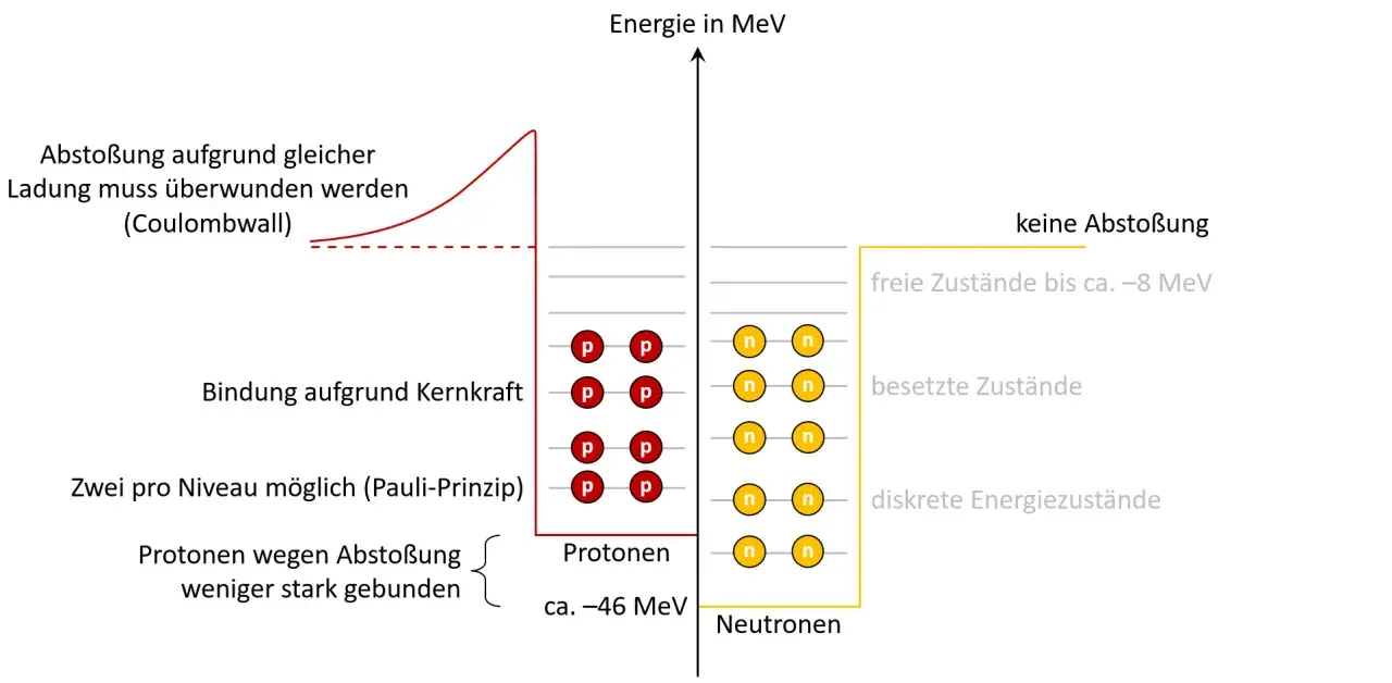 Energielevel von Protonen und Neutronen. Protonen sind wegen Abstoßung weniger gebunden, was für den Beta-Plus-Zerfall relevant ist.
