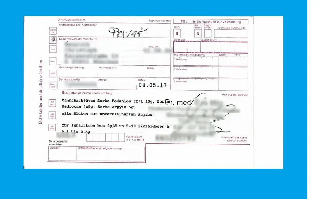 Privatrezept net: So einfach erhalten Sie Ihr medizinisches Cannabis rezept