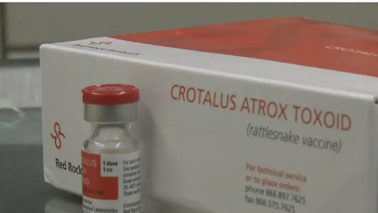 A vial and box of Crotalus Atrox Toxoid, a rattlesnake vaccine for dogs, are shown.
