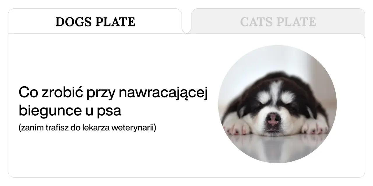 Słodki szczeniak śpi, podczas gdy tekst informuje o tym, co zrobić przy nawracającej wodnistej biegunce u psa.
