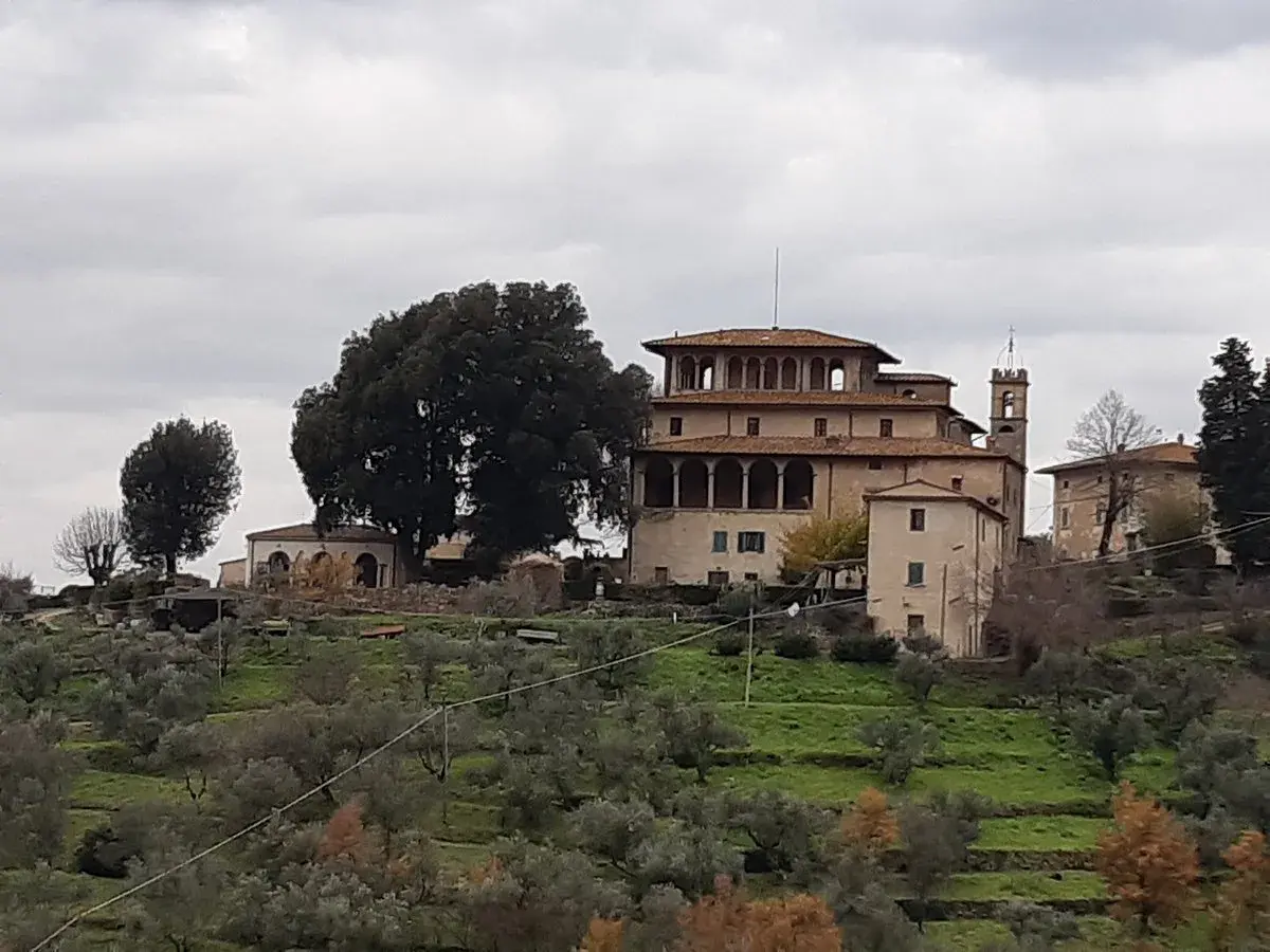 Villa medicea e uliveti, un'idea di cosa vedere a Lamporecchio.