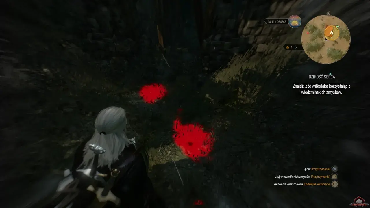 Geralt szuka śladów wilkołaka, używając wiedźmińskich zmysłów. Czerwone plamy na ziemi wskazują trop w "Dzikość serca".