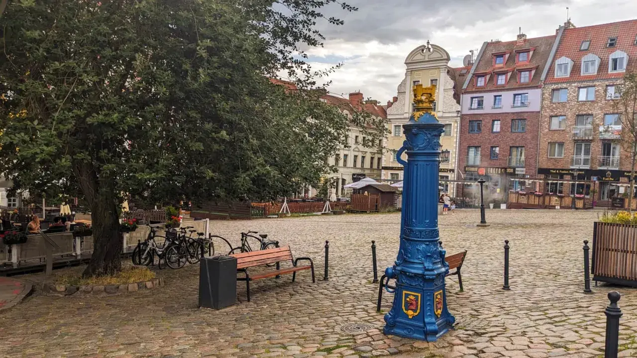 Niebieska fontanna z herbem na brukowanym rynek Szczecin. Drzewo, ławki i rowery tworzą spokojną atmosferę.