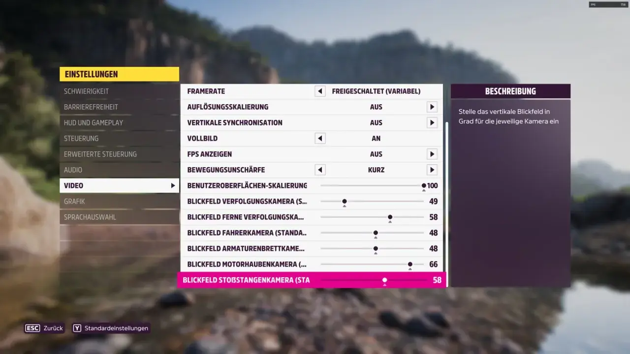 Einstellungen für die Forza Horizon 5 Grafik: Blickfeld-Optionen für verschiedene Kameras.