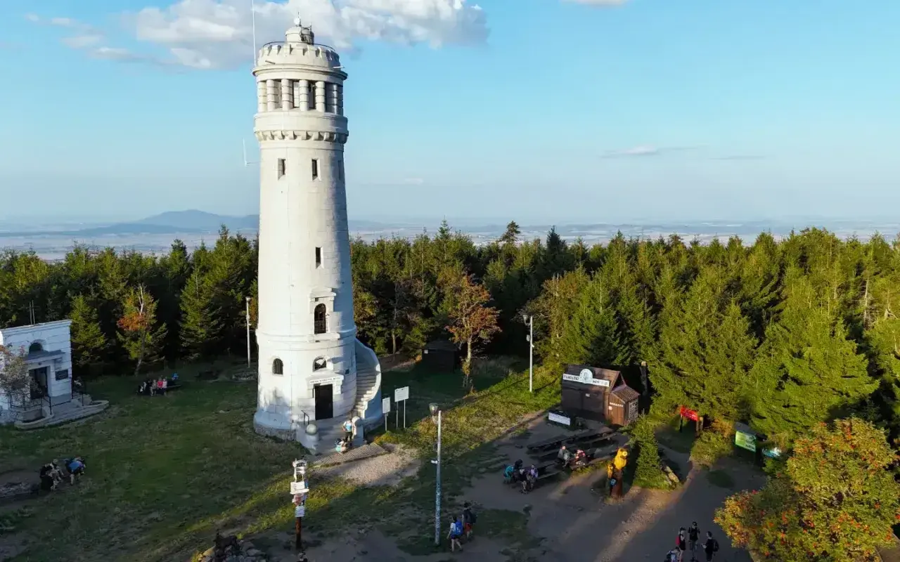 Wieża widokowa na szczycie gór Sowich, otoczona lasem, zaprasza turystów do podziwiania panoramy.