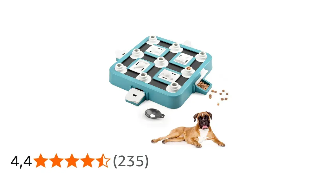Un perro boxer mira un tablero de juegos mentales para perros con premios.