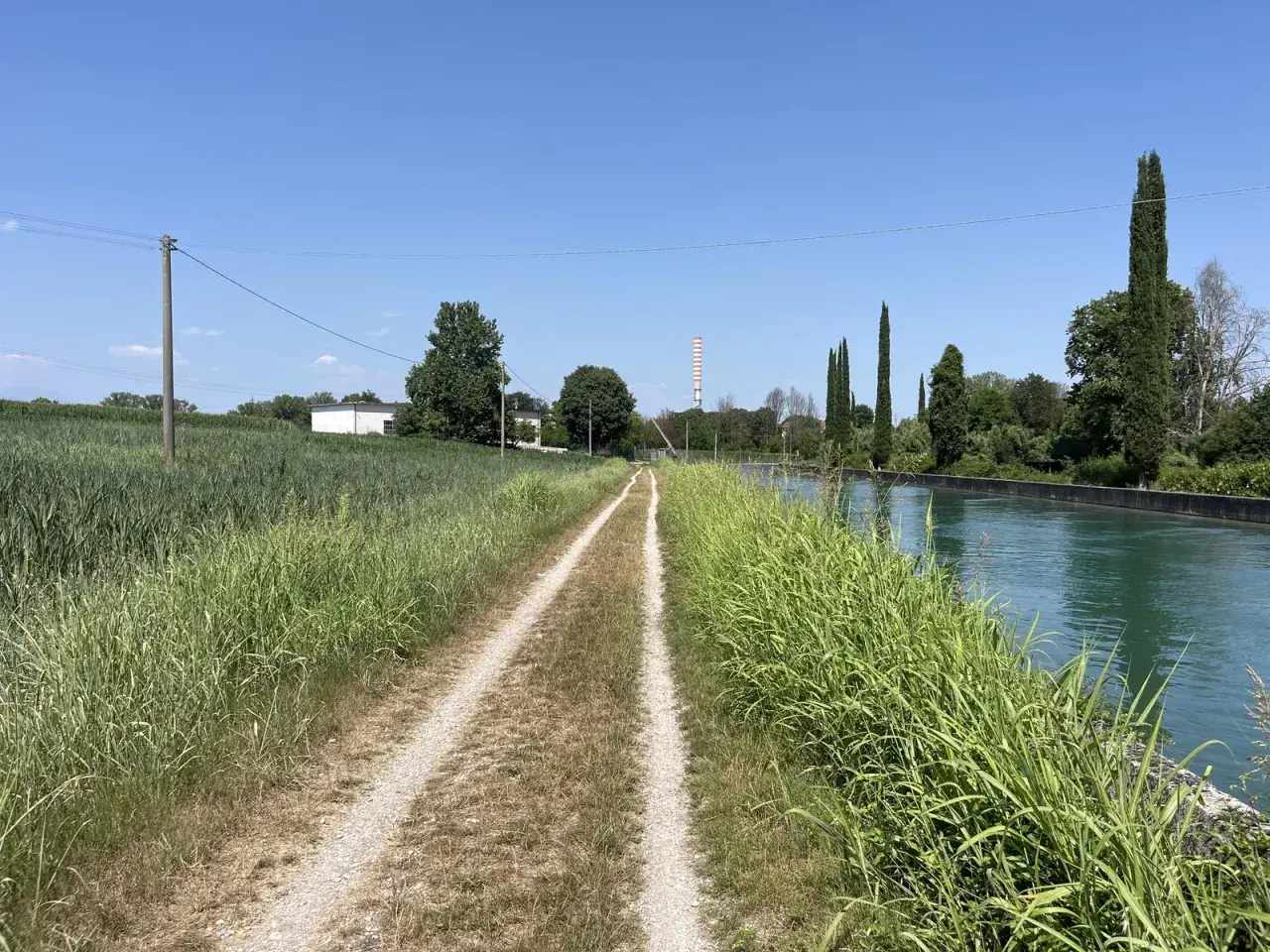 Sentiero sterrato lungo il canale, ideale per la ciclabile Peschiera Lazise. Vegetazione rigogliosa e cielo azzurro.