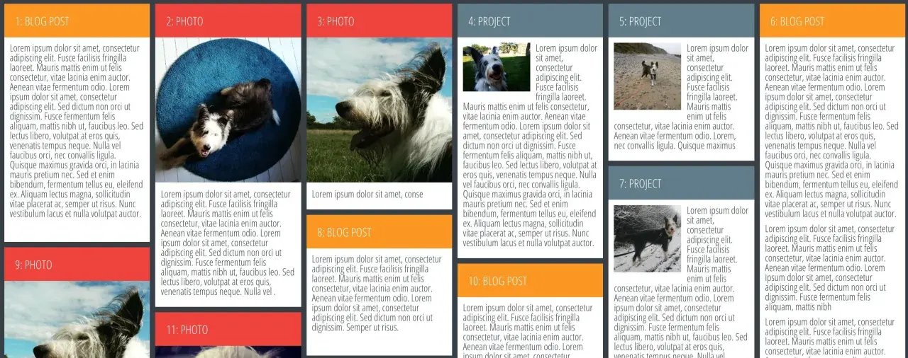 Disposition d'articles de blog et de photos de chiens, organisés en colonnes comme un design masonry CSS.